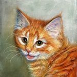 RisCat