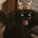 _caxapok_222