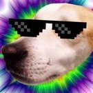 JOHN_PSINA
