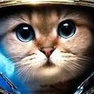 Котик егор