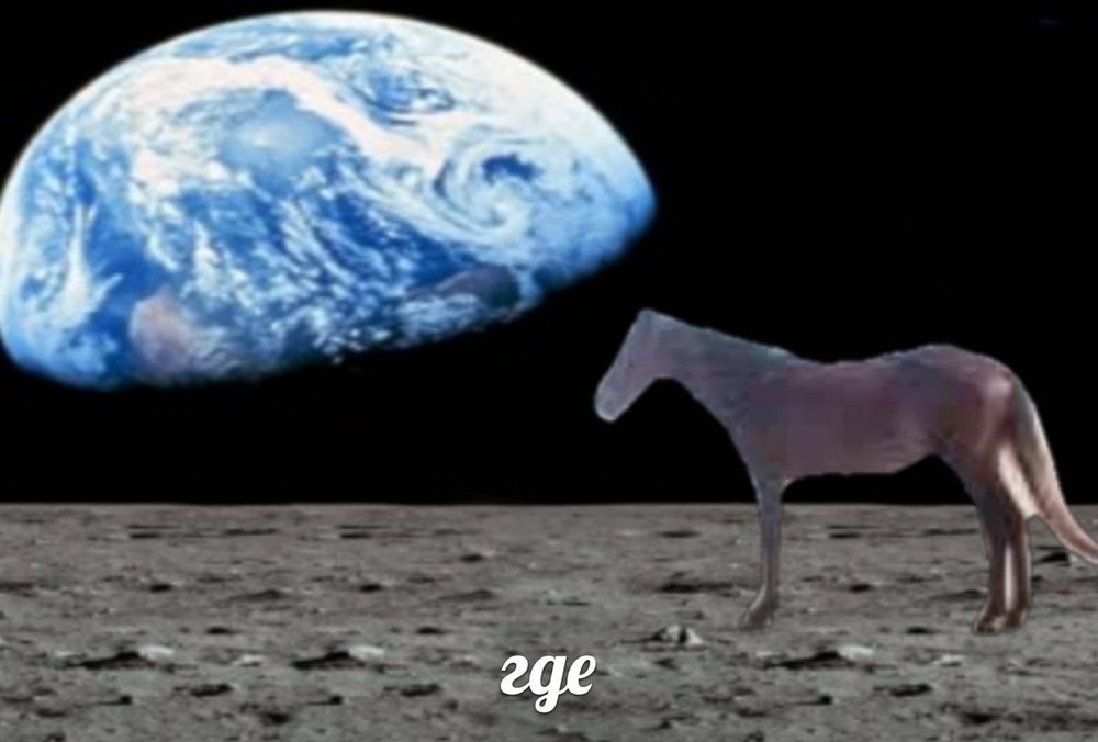 7oWLf551gGI.jpg