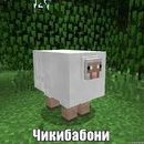 РпВоВич_228