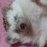 popasany_