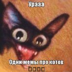 мультяшны_кот