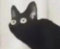 unknown-17.png.a0ab7745982699a1eddd4544680f76e3.png