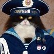 Рыбка