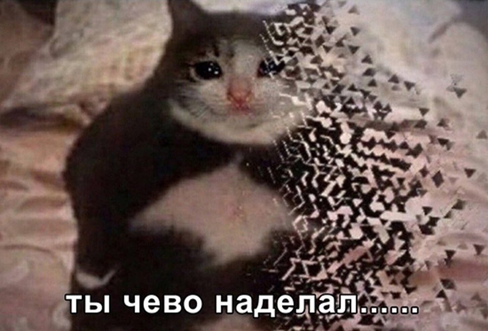 EcER6a3WAAAv2n1.jpg