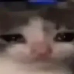 AlexBakyrin3