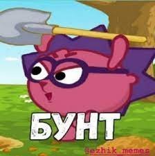 350626933_.jpg.ceb1015c40cca80d9620498e33536931.jpg