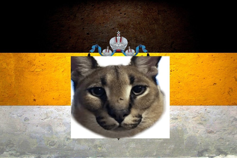 v.jpg