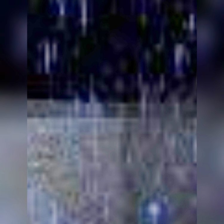 InShot_20220222_180458803.thumb.jpg.185d0ac013ad5060476aff87dbf0073e.jpg