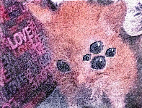 666.jpg.05c1825994cbd464221770d36f47bbc9.jpg