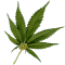 3465.gif.3e74ce3dac9ee1989a03ab0fbe6a8870.gif