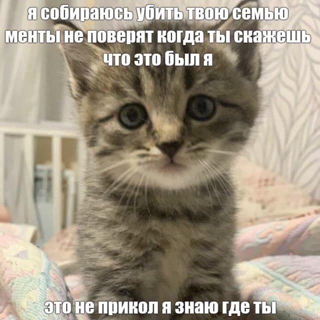 4356.jpg.90690643493f6a682aa3343cbe7108f8.jpg