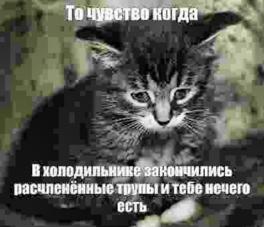 6578.thumb.jpg.4efb3f1390d3b5a5e4f865813eea9bcc.jpg