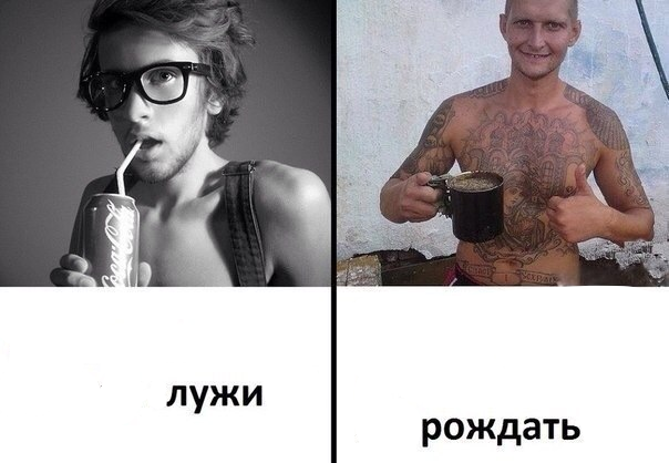 6856.png.658494e05c7f0384557530ae6e0d2ad8.png