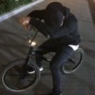 stalker337568