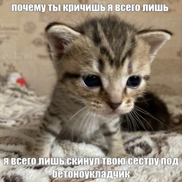 cdWE8CsDwvyNY96jGldABvnpZzJ8Yn2jp_M9iNx57RZNrYyF0w9K2wwEVpP_hRDTLh1UzPnx7xpHBP2GsB0J5XDv.jpg.256f2005d37707b82306a3d29ba485db.jpg