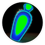 NezertorcheaT