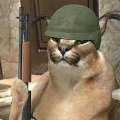 Товарищ John_Manthana