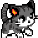 NeKotik