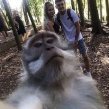 LIRIK__