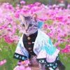 Невил на трепе