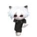 chel228250ktnt
