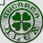 drugfrogsa14