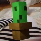 eto_cactus