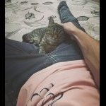 Denis_S