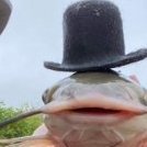 AvocadicYT