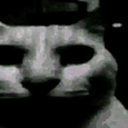 MishaRskv