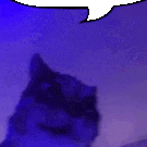 labex