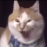 DESMOND