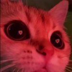 булочка с корицей