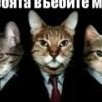 Bezruki_moder