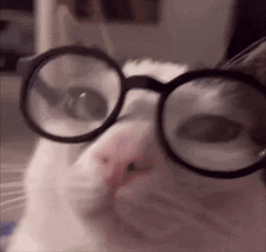 IMG_0888(1)(1).gif.e4574e1705219a0362324fcbd5671cba.gif