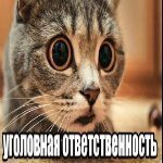 теребок CAT2000