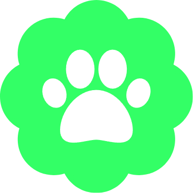 discotools-xyz-icon(2).png.4c9ba4d5ee3d846039207e5179ec548a.png