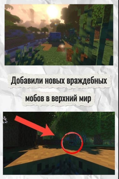 IMG_3872.jpeg