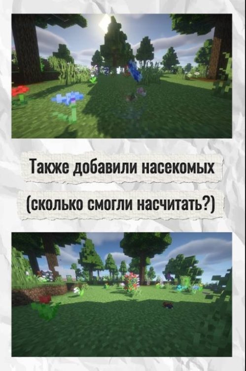 IMG_3873.jpeg