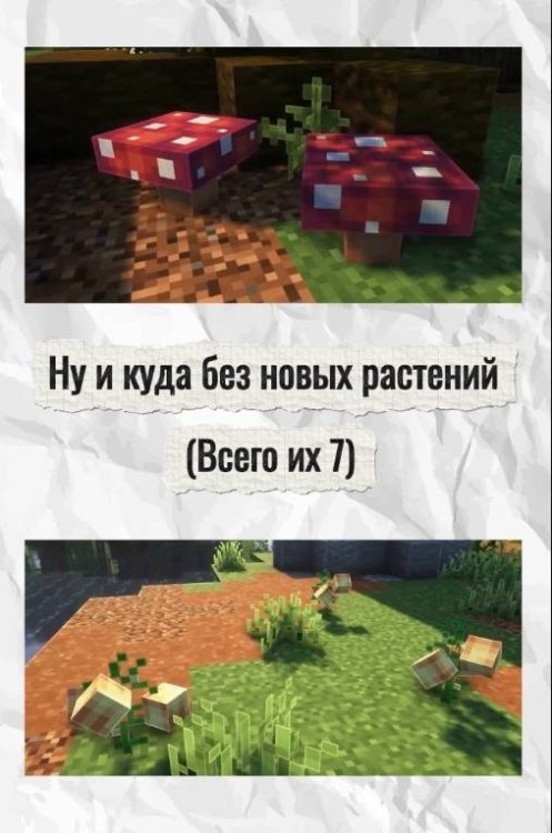 IMG_3874.jpeg
