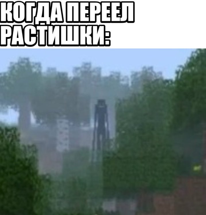 image.thumb.jpeg.5b8346a73592988f11b9bb7c81214d47.jpeg