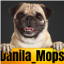 Danila_Mops