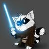ThePhantomRacccoon