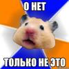 MrMaster