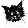 Catoino