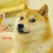 proplayyttv