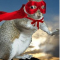 super-squirrel